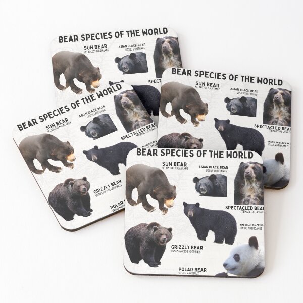 Item preview, Biological Scientific Bear Species Diagram Poster Vintage Map Conservation  designed and sold by wesleykshaver.