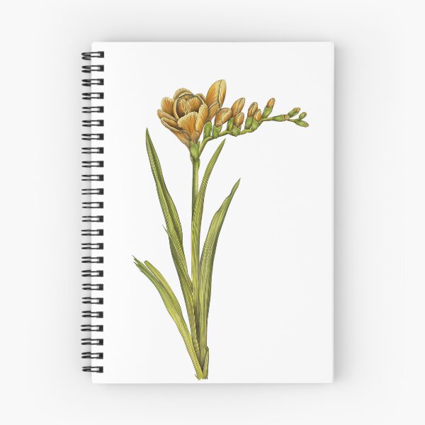 Item preview, Yellow Orange Freesia Flower designed and sold by TasiaZenzura.