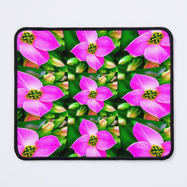 Item preview, Pink Tropical Flowers Pattern designed and sold by Patternflower.