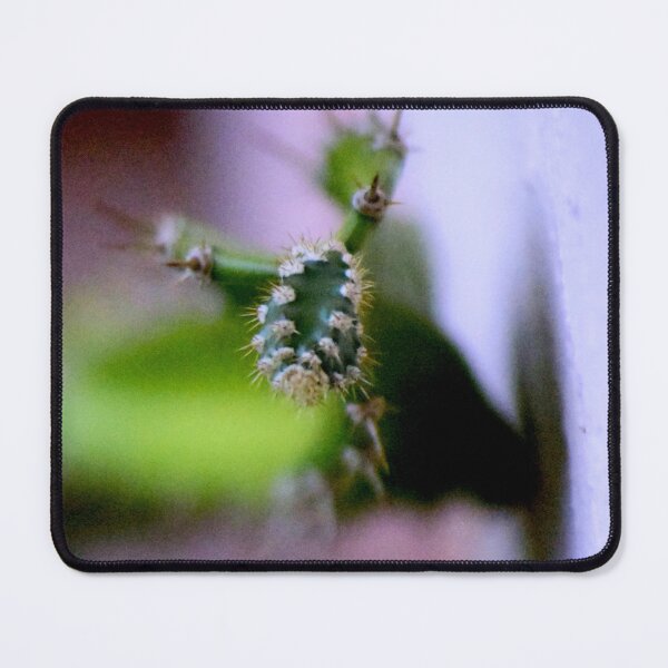 Item preview, Acanthocereus tetragonus Spines designed and sold by MercerImages.