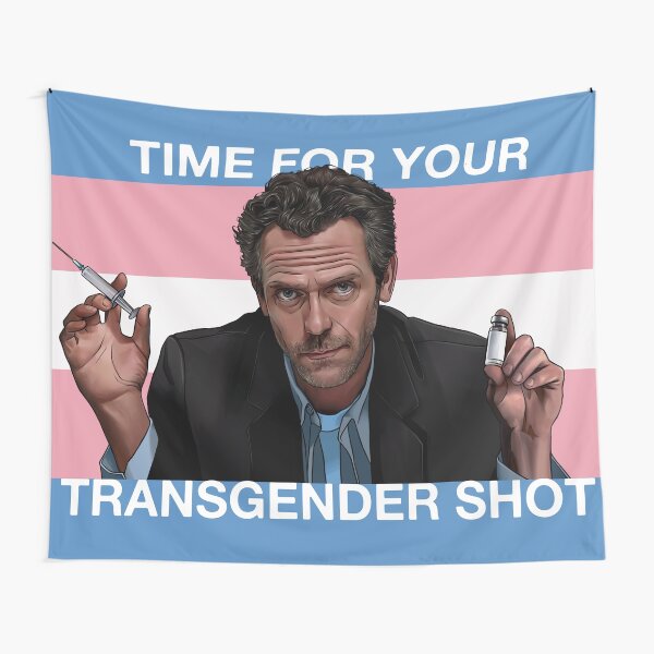 Artikel-Vorschau von Dr. House Trans-Flagge, designt und verkauft von cowboyycorner.