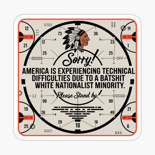 Vista previa del artículo con la obra «Estados Unidos está experimentando dificultades técnicas», diseñado y vendido por Angry Swan Designs.