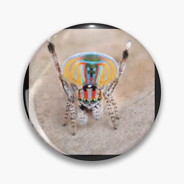 Item preview, Jumpin Spoder designed and sold by AdaOnio.