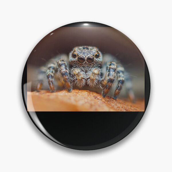 Item preview, Jumping Spider designed and sold by AdaOnio.