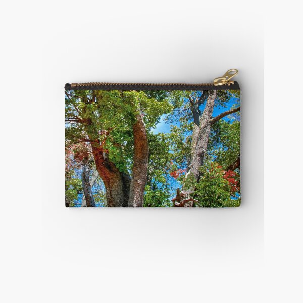 Item preview, Patagonian forest trees close-up, rio negro province, patagonia, argentina designed and sold by DFLC Prints.