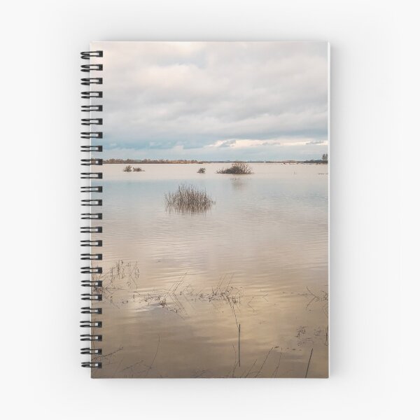 Item preview, Winter Light on the Wetlands designed and sold by ADCImages.