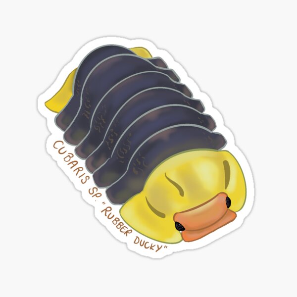 Item preview, Rubber Ducky Isopod designed and sold by atomicblondie.