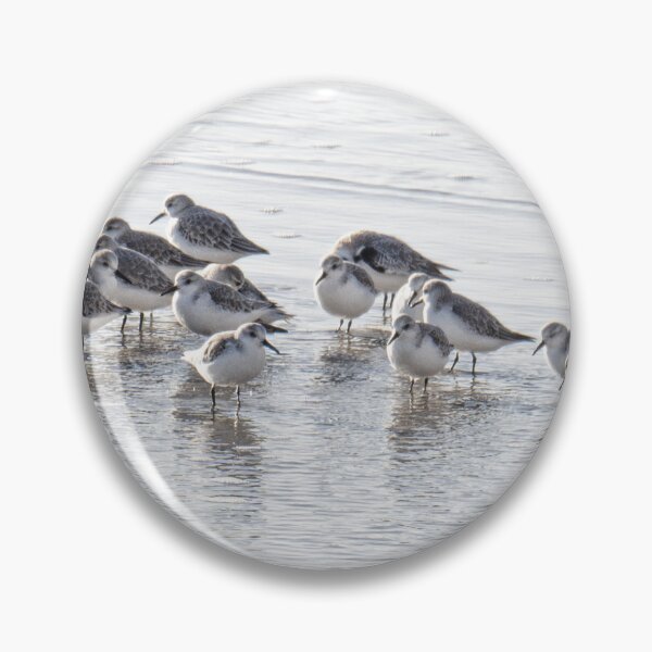 Item preview, sanderlings on the beach designed and sold by kathleenjean.