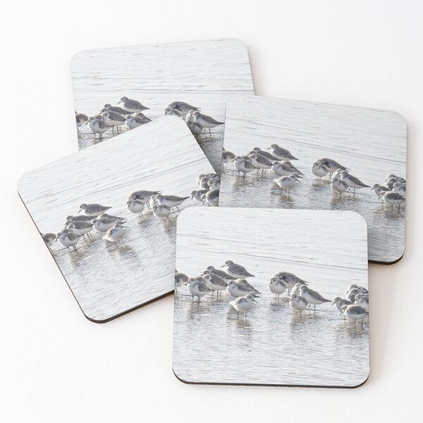 Item preview, sanderlings on the beach designed and sold by kathleenjean.