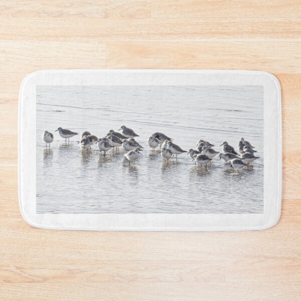 Item preview, sanderlings on the beach designed and sold by kathleenjean.