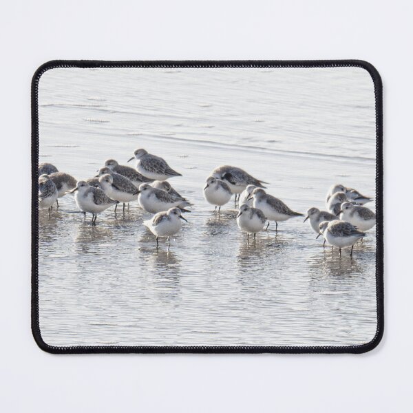 Item preview, sanderlings on the beach designed and sold by kathleenjean.