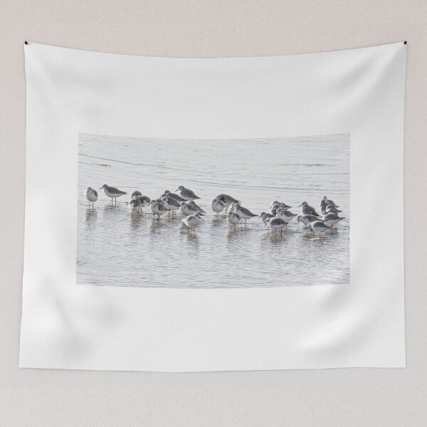 Item preview, sanderlings on the beach designed and sold by kathleenjean.