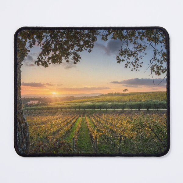 Item preview, Tree and vineyards, autumn landscape in Chianti. Tuscany, Italy designed and sold by Stefano Orazzini.