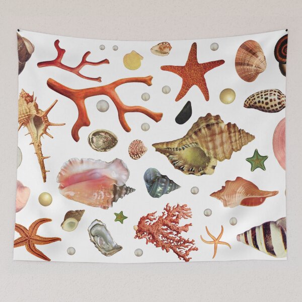 Item preview, Shell collection designed and sold by MsGonzalez.