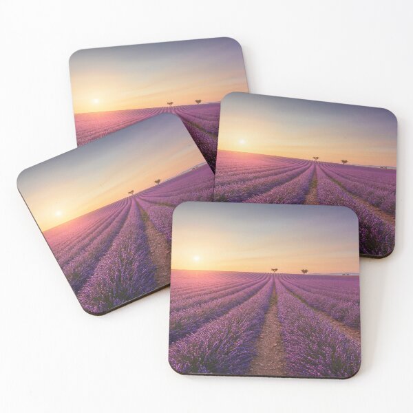 Item preview, Blooming lavender field and trees in Valensole. Provence, France designed and sold by Stefano Orazzini.