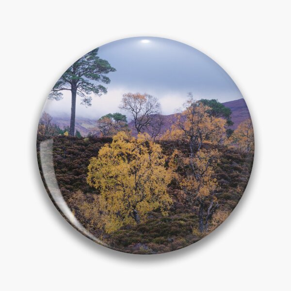 Item preview, Lone Pine, Glen Affric designed and sold by ShinyPhoto.