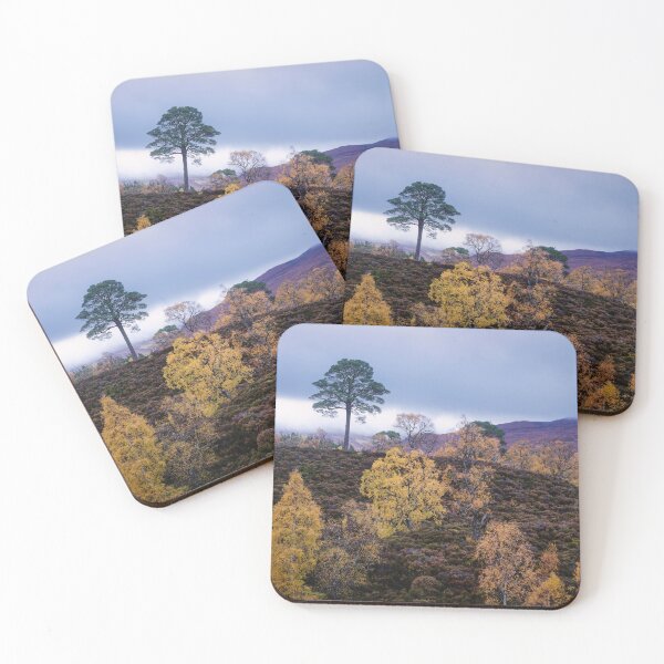 Item preview, Lone Pine, Glen Affric designed and sold by ShinyPhoto.