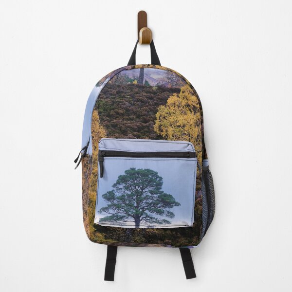 Item preview, Lone Pine, Glen Affric designed and sold by ShinyPhoto.