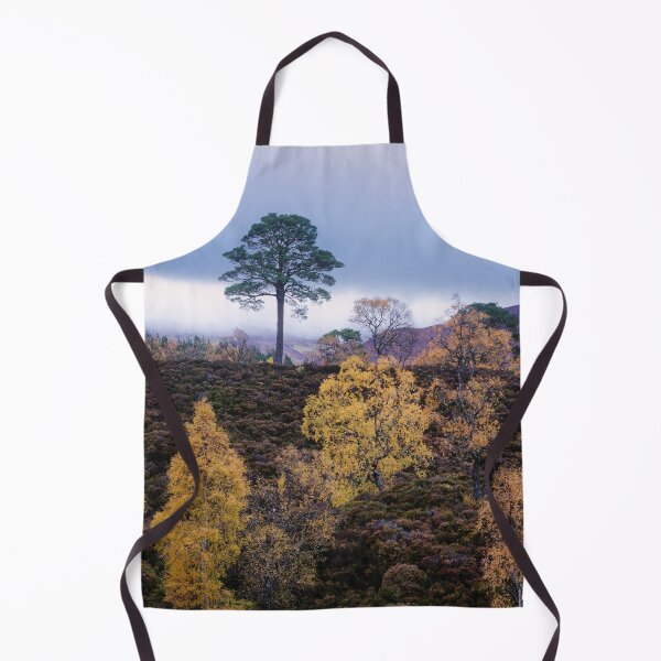 Item preview, Lone Pine, Glen Affric designed and sold by ShinyPhoto.