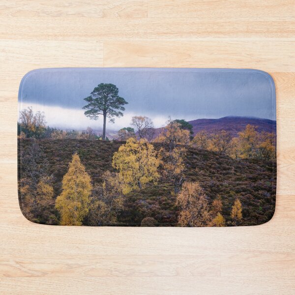 Item preview, Lone Pine, Glen Affric designed and sold by ShinyPhoto.
