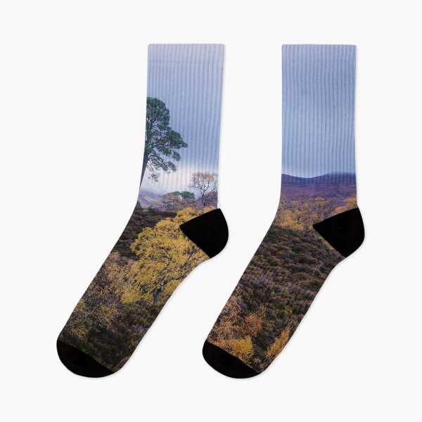 Item preview, Lone Pine, Glen Affric designed and sold by ShinyPhoto.
