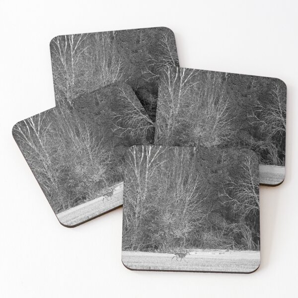 Item preview, Deerscape. Roe deer bw designed and sold by Jouko Lehto Photography.