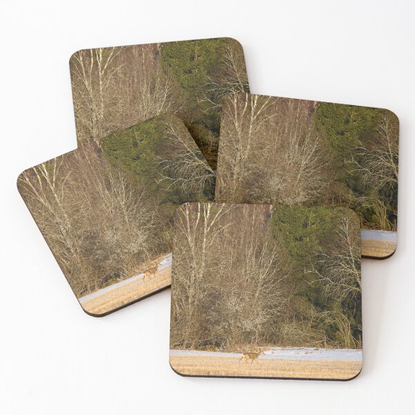 Item preview, Deerscape. Roe deer designed and sold by Jouko Lehto Photography.