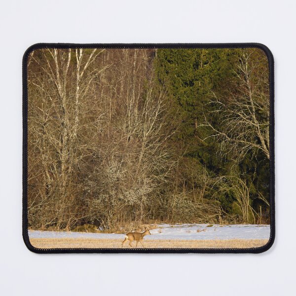 Item preview, Deerscape. Roe deer designed and sold by Jouko Lehto Photography.