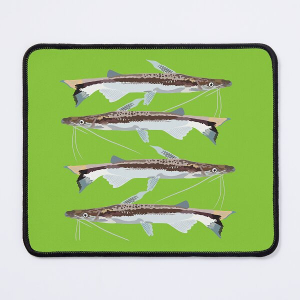 Item preview, L is for Lima Catfish,Lima Catfish – Tropical Freshwater Catfish Wildlife Illustration designed and sold by PrettylittlepastelUk.