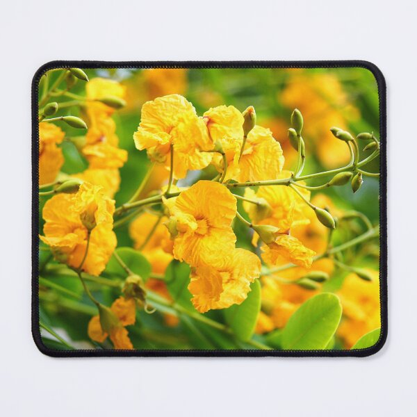 Item preview, Tipuana tipu or yellow flowers designed and sold by manoloshoping.