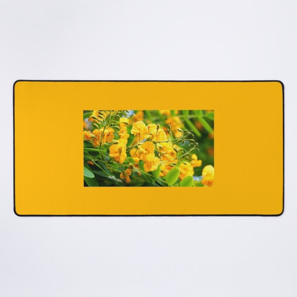 Item preview, Tipuana tipu or yellow flowers designed and sold by manoloshoping.