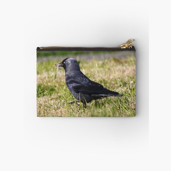 Item preview, Nesting Jackdaw designed and sold by GreyFeatherPhot.