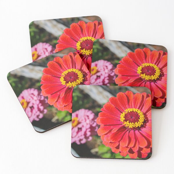 Item preview, Zinnias designed and sold by jenstever.