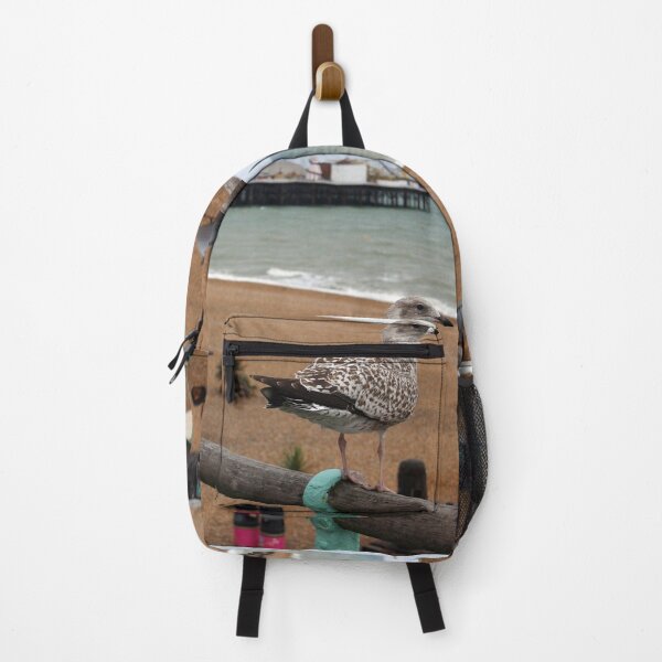 Item preview, Seagull near the Palace Pier, Brighton designed and sold by pinkal.