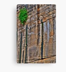 Nature prevails Canvas Print