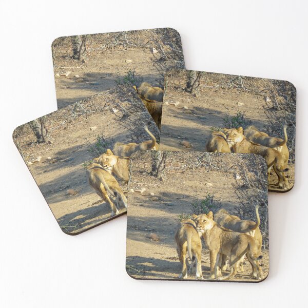 Item preview, African Lion Looking at the Camera designed and sold by jrtwynam.