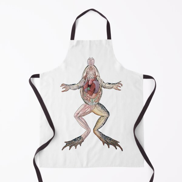 Item preview, Vintage Frog Anatomy Illustration, Frog Dissection Illustration designed and sold by HawthorneFlame.