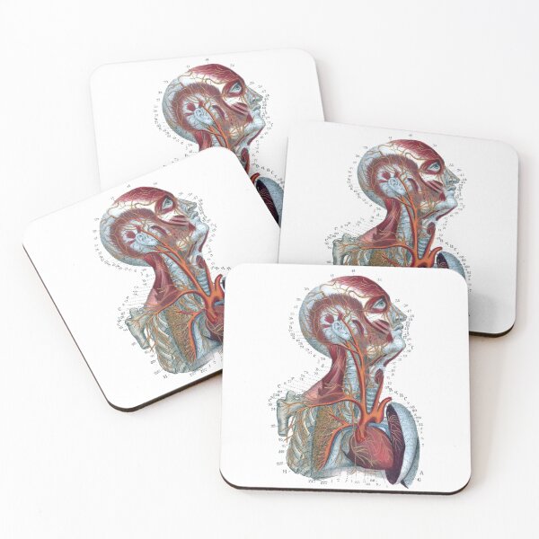 Item preview, Vintage Human Torso Anatomy Illustration in Color designed and sold by HawthorneFlame.