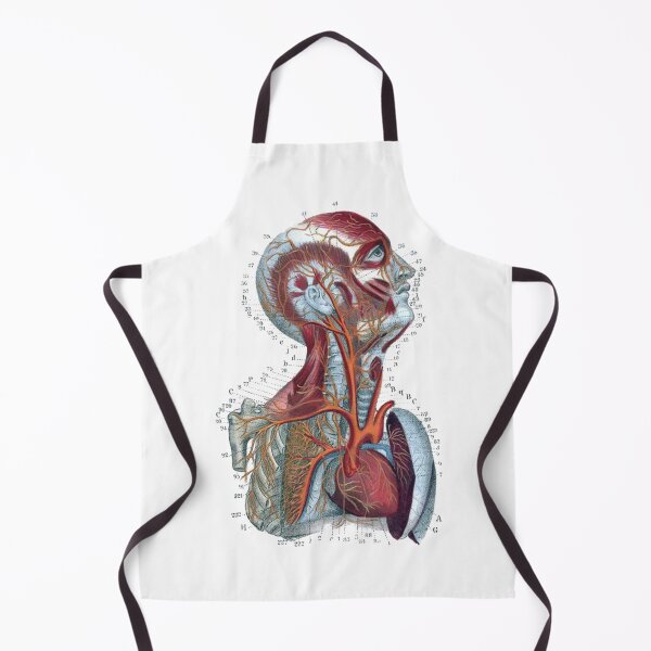 Item preview, Vintage Human Torso Anatomy Illustration in Color designed and sold by HawthorneFlame.
