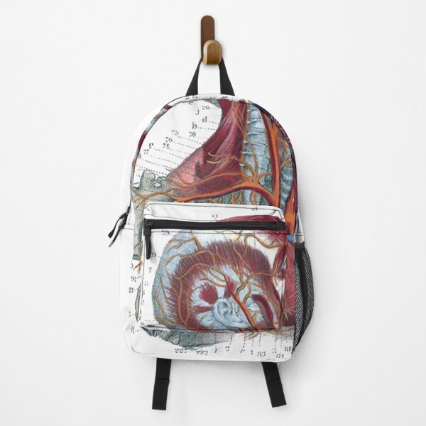 Item preview, Vintage Human Torso Anatomy Illustration in Color designed and sold by HawthorneFlame.