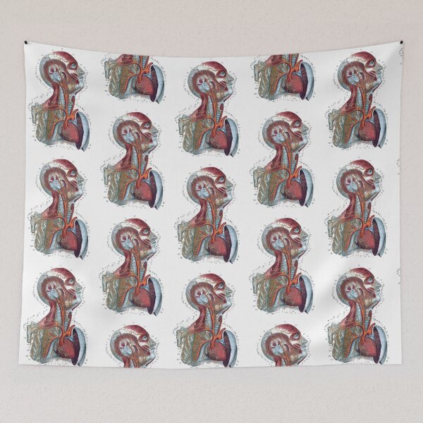 Item preview, Vintage Human Torso Anatomy Illustration in Color designed and sold by HawthorneFlame.