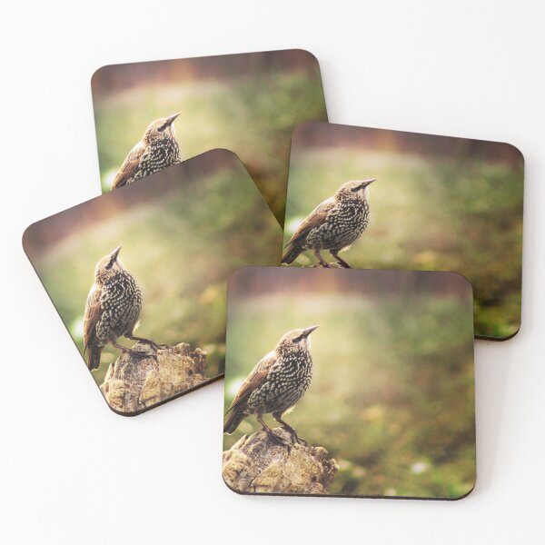Item preview, Golden Glow of The Starling designed and sold by ForestWanderersArt.