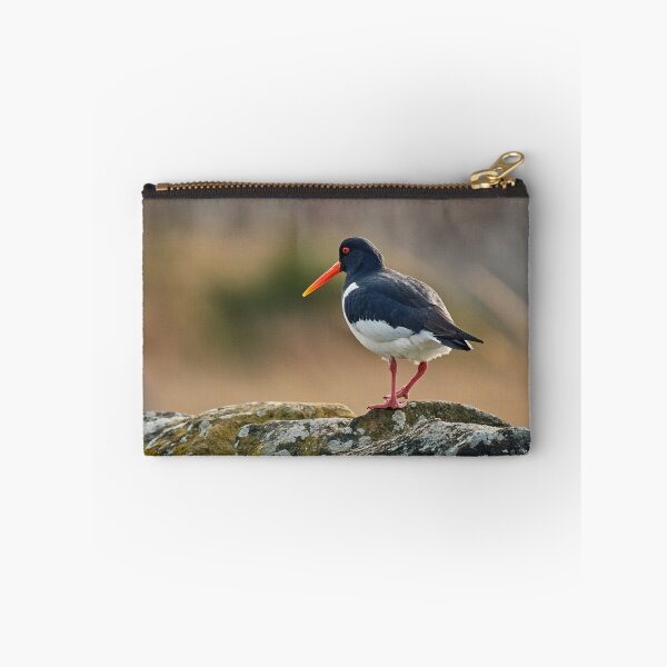 Item preview, Oystercatcher designed and sold by Tom McPherson Photography.