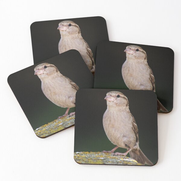 Item preview, Standing Tall (Female House Sparrow) designed and sold by ForestWanderersArt.