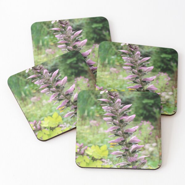Item preview, Acanthus  designed and sold by pinkal.