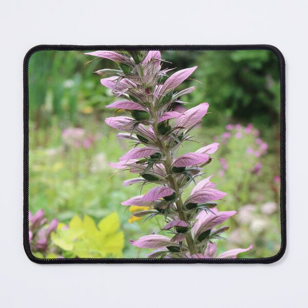 Item preview, Acanthus designed and sold by pinkal.
