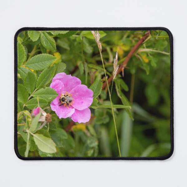 Item preview, Busy Bee Hard at Work designed and sold by jrtwynam.