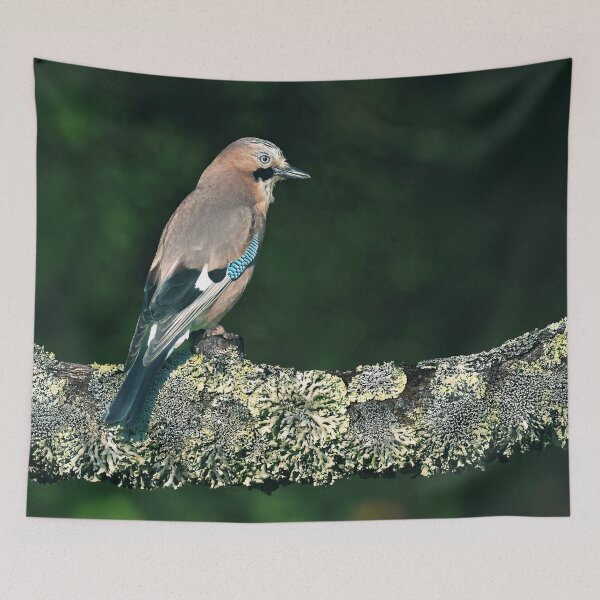 Item preview, The Jay designed and sold by Tom McPherson Photography.