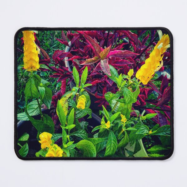 Item preview, Jammin in the Jungle designed and sold by TSinclairArt.