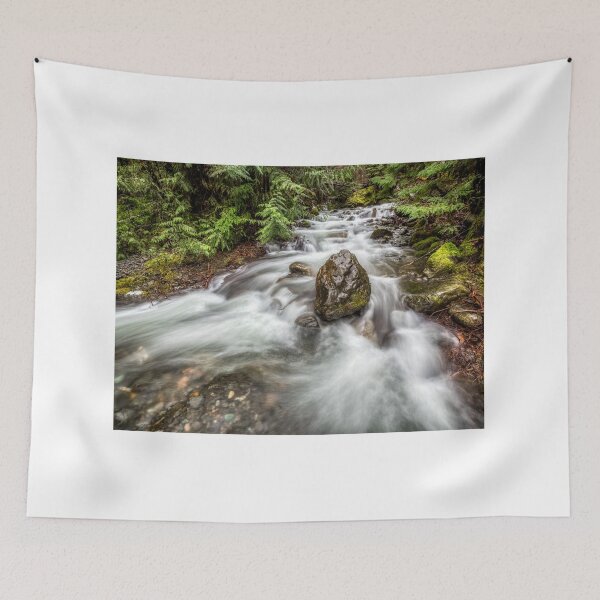 Item preview, Roadside Attraction, Strathcona Provincial Park, Vancouver island designed and sold by LarsOlofPhoto.